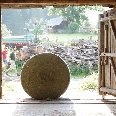 Urlaub Am Bio-Bauernhof Liebchen Villa Zeutschach ภายนอก รูปภาพ