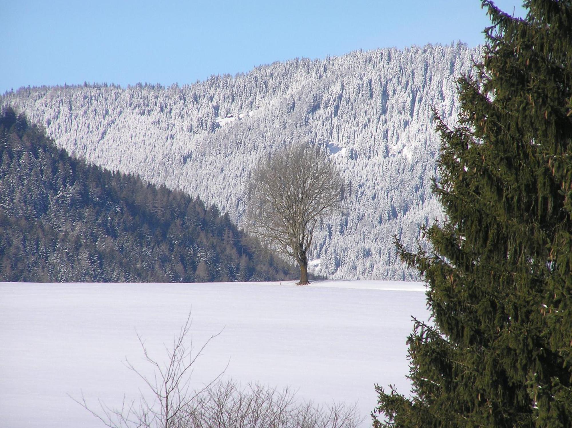 Urlaub Am Bio-Bauernhof Liebchen Villa Zeutschach ภายนอก รูปภาพ