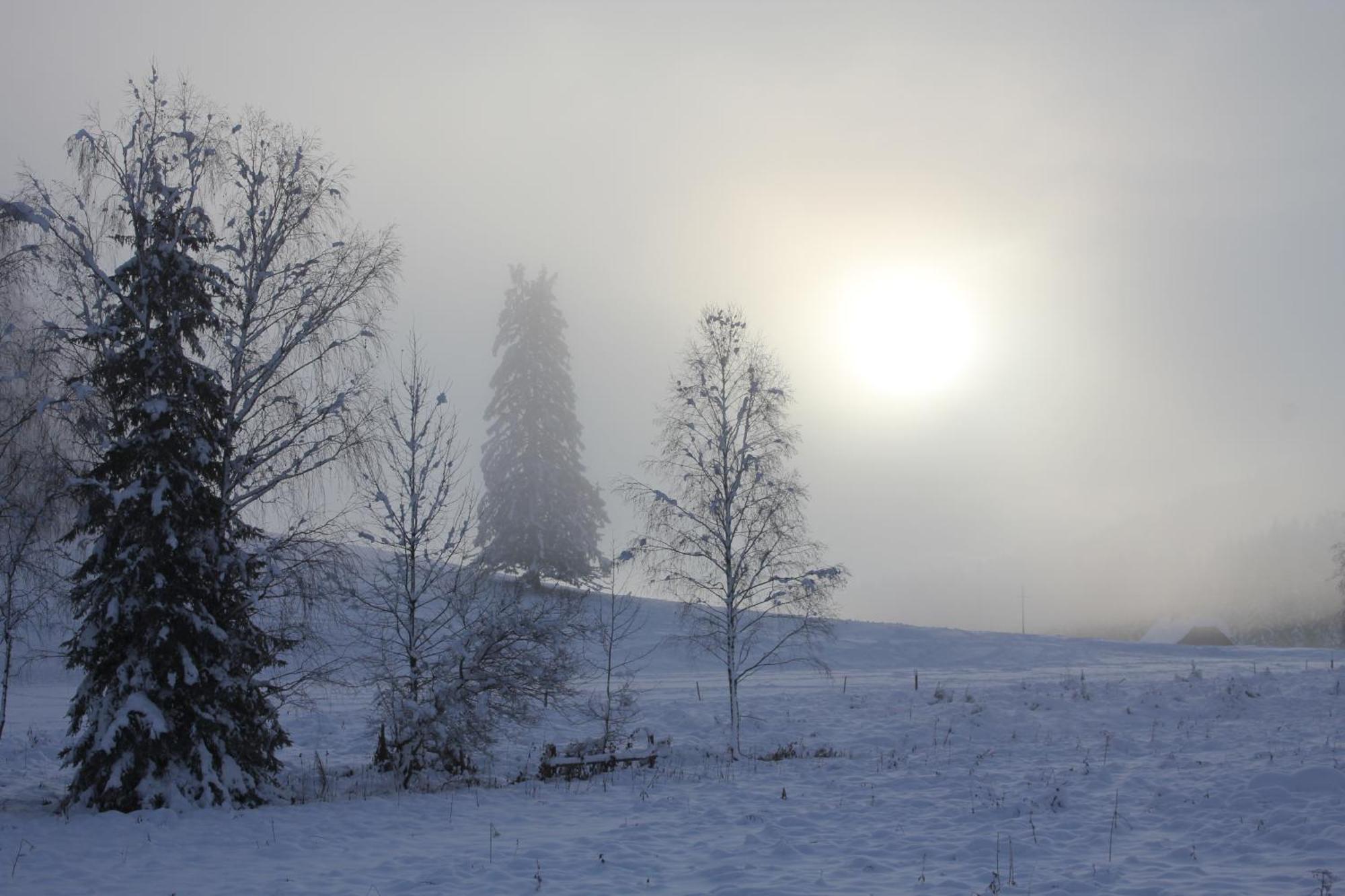 Urlaub Am Bio-Bauernhof Liebchen Villa Zeutschach ภายนอก รูปภาพ