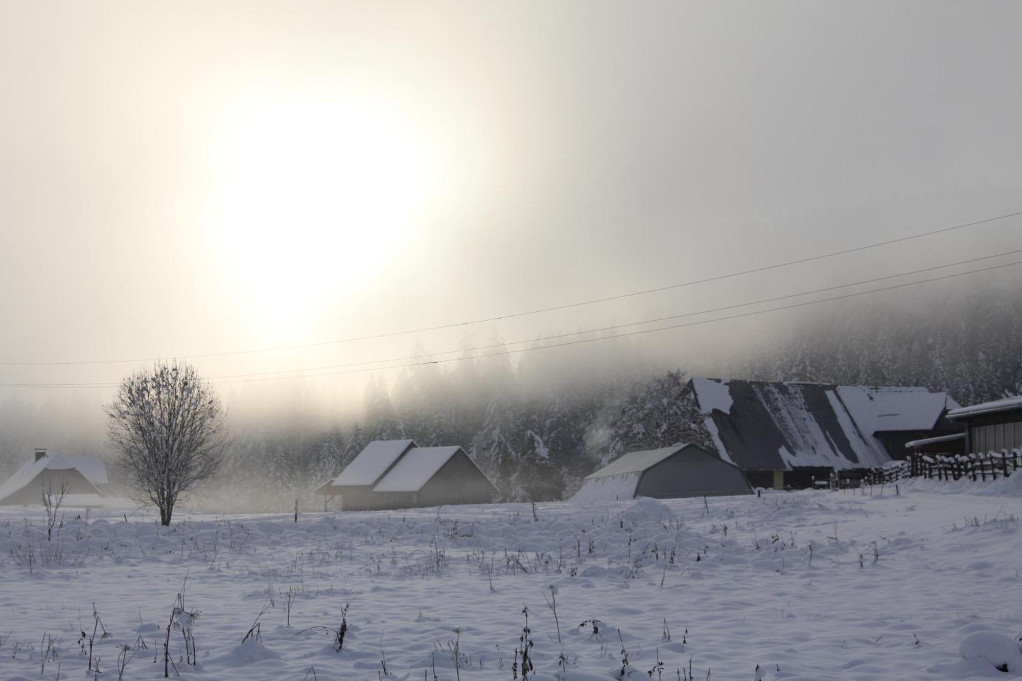 Urlaub Am Bio-Bauernhof Liebchen Villa Zeutschach ภายนอก รูปภาพ