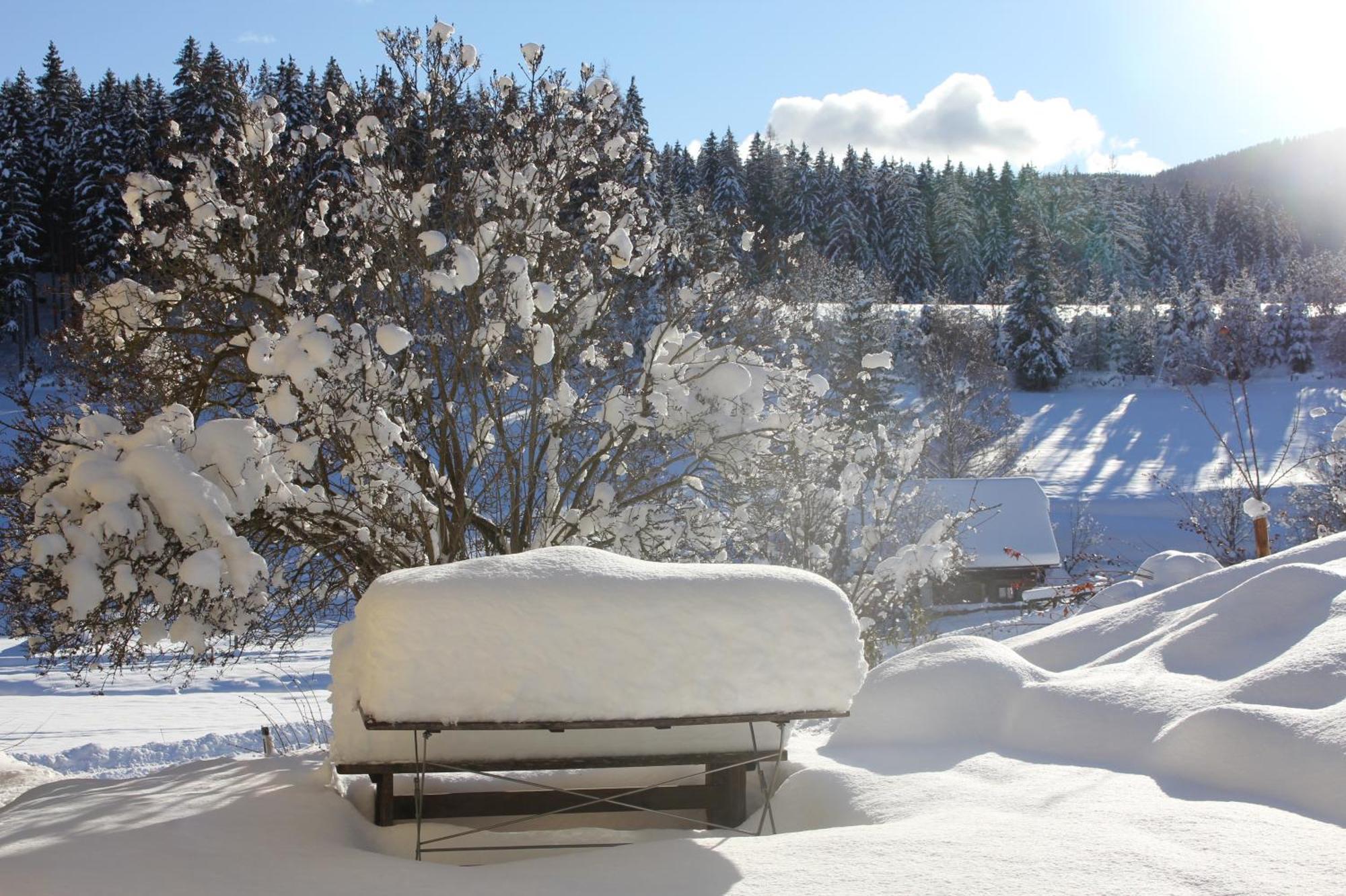 Urlaub Am Bio-Bauernhof Liebchen Villa Zeutschach ภายนอก รูปภาพ