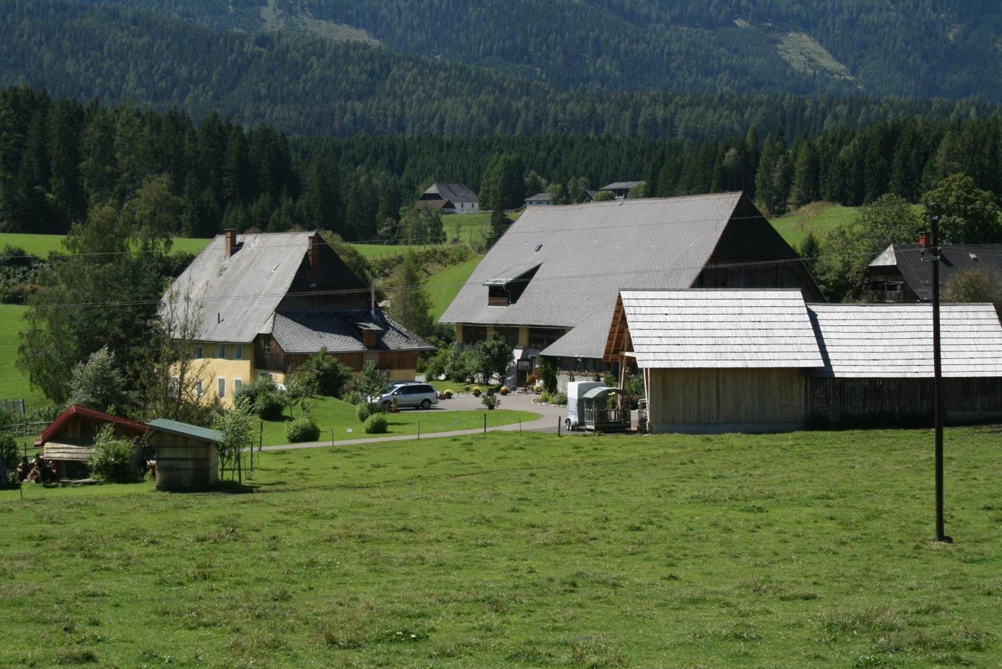 Urlaub Am Bio-Bauernhof Liebchen Villa Zeutschach ภายนอก รูปภาพ