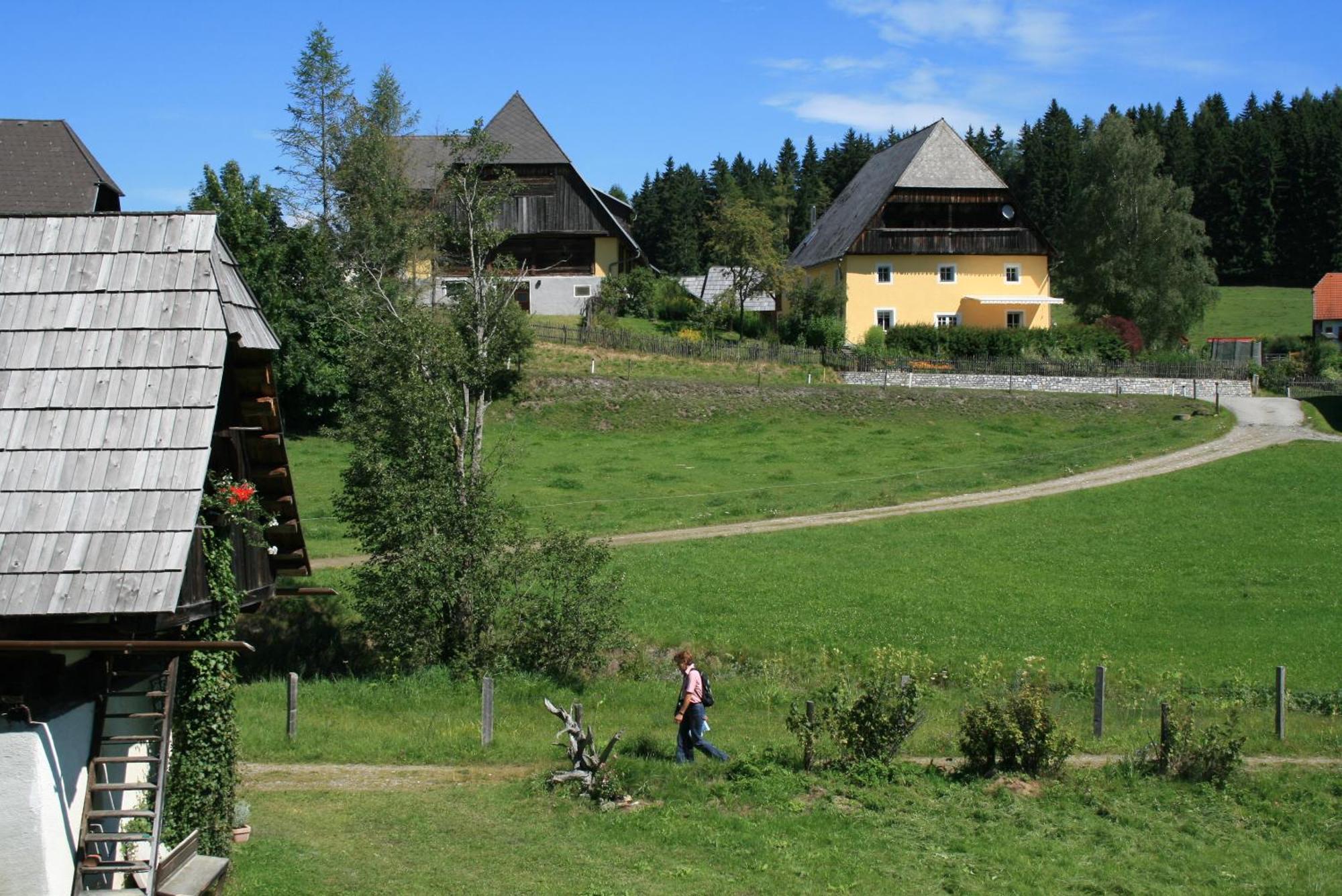 Urlaub Am Bio-Bauernhof Liebchen Villa Zeutschach ภายนอก รูปภาพ