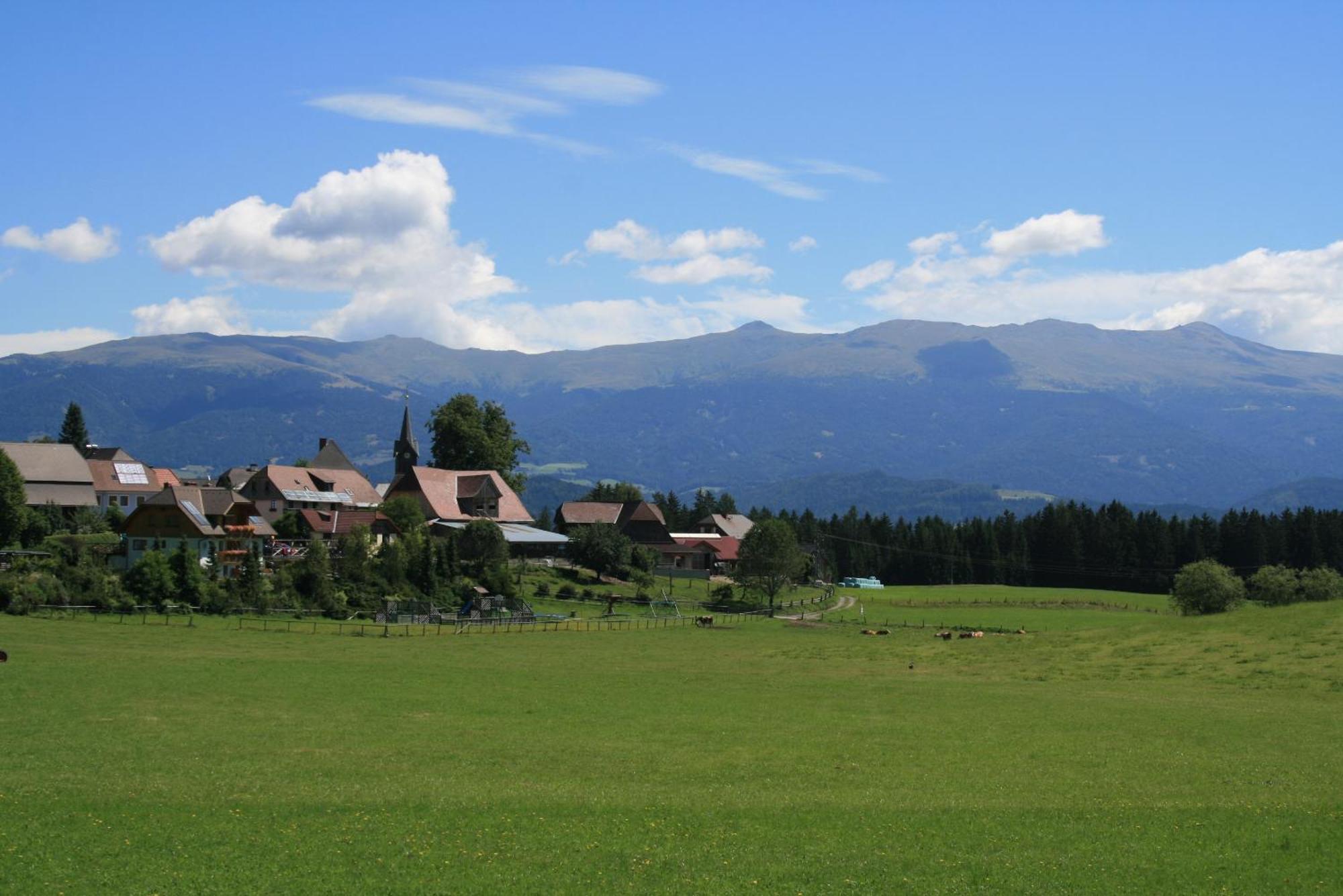 Urlaub Am Bio-Bauernhof Liebchen Villa Zeutschach ภายนอก รูปภาพ