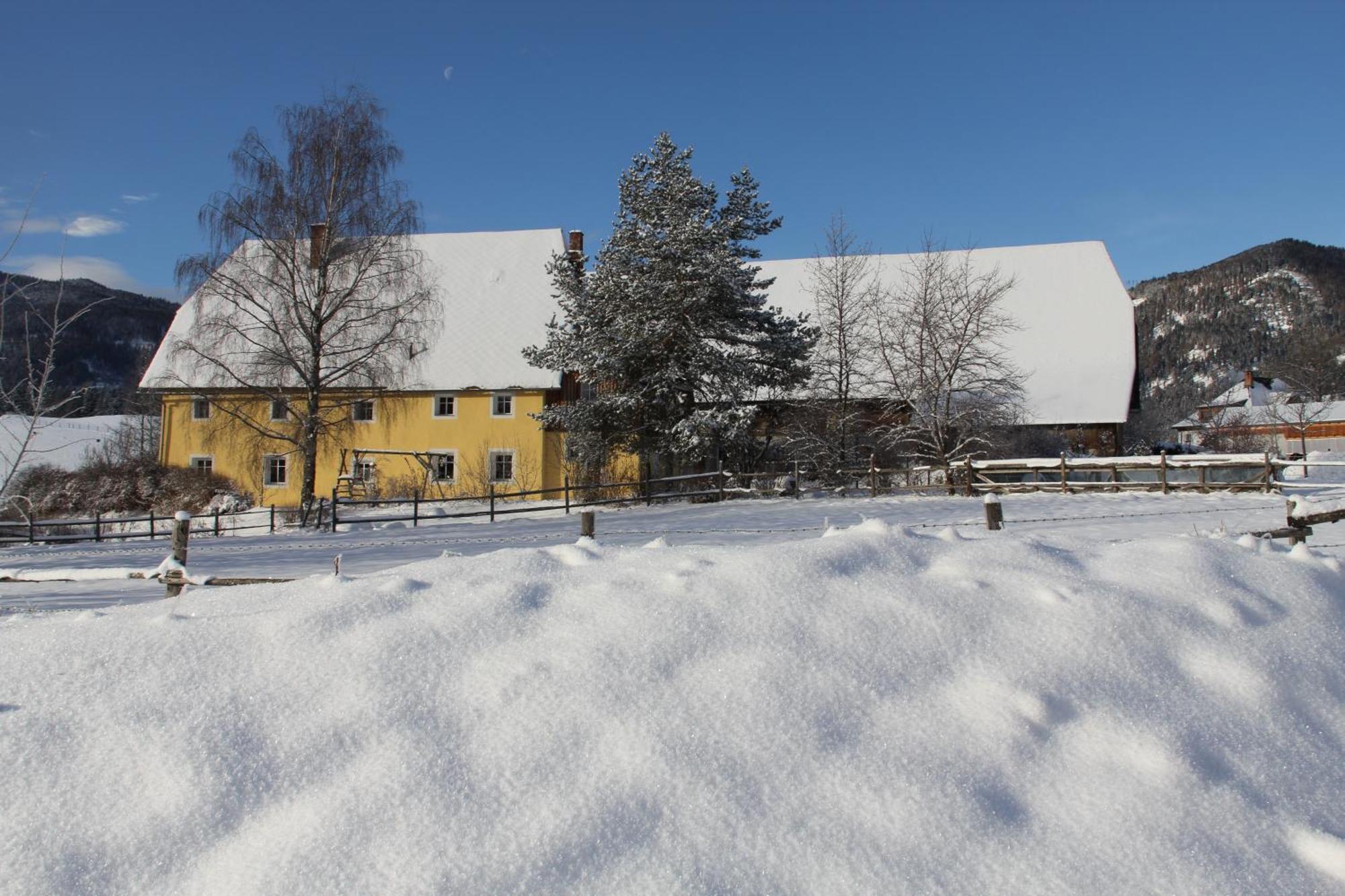Urlaub Am Bio-Bauernhof Liebchen Villa Zeutschach ภายนอก รูปภาพ