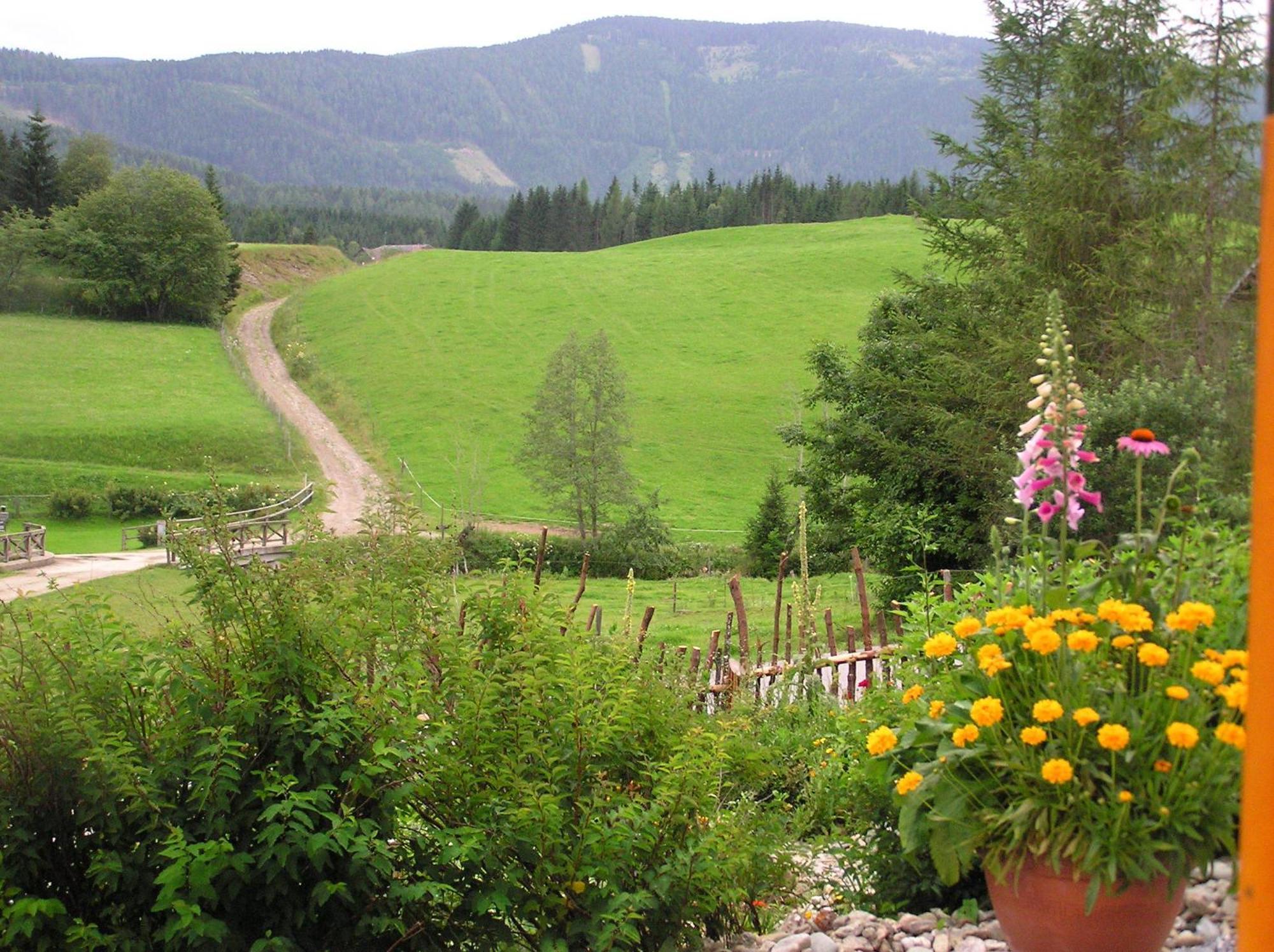 Urlaub Am Bio-Bauernhof Liebchen Villa Zeutschach ภายนอก รูปภาพ