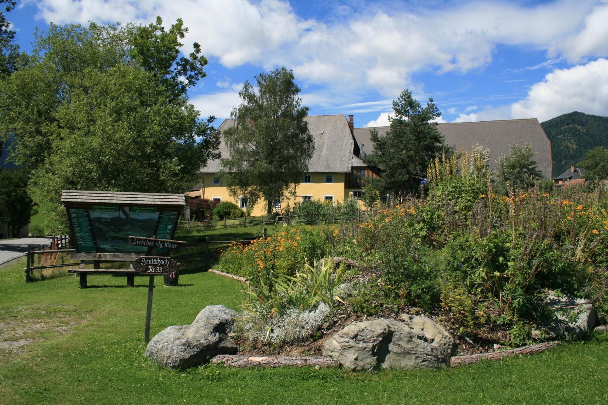 Urlaub Am Bio-Bauernhof Liebchen Villa Zeutschach ภายนอก รูปภาพ