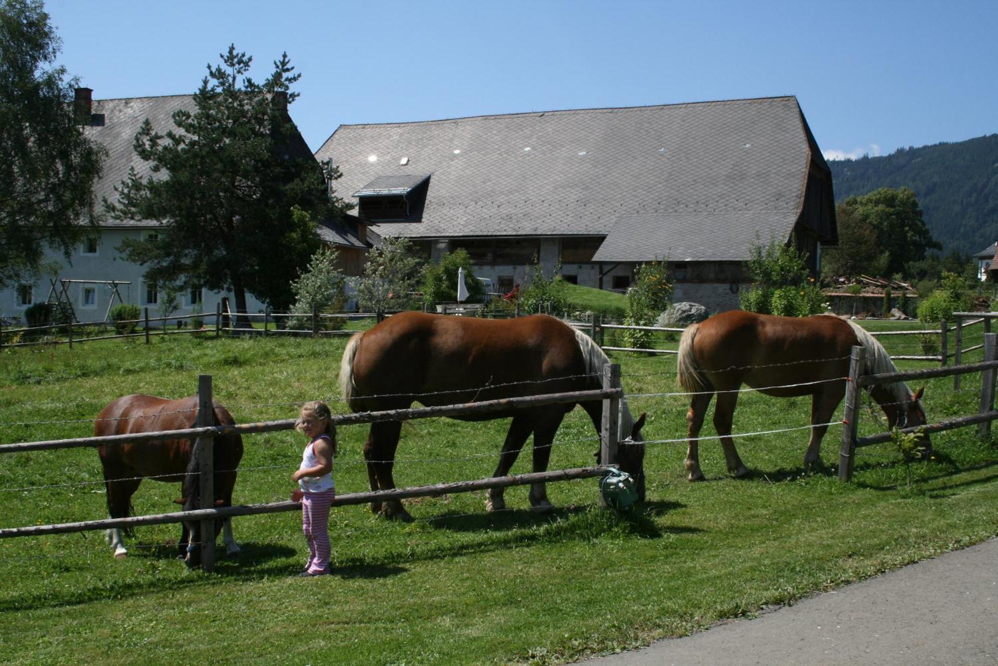 Urlaub Am Bio-Bauernhof Liebchen Villa Zeutschach ภายนอก รูปภาพ