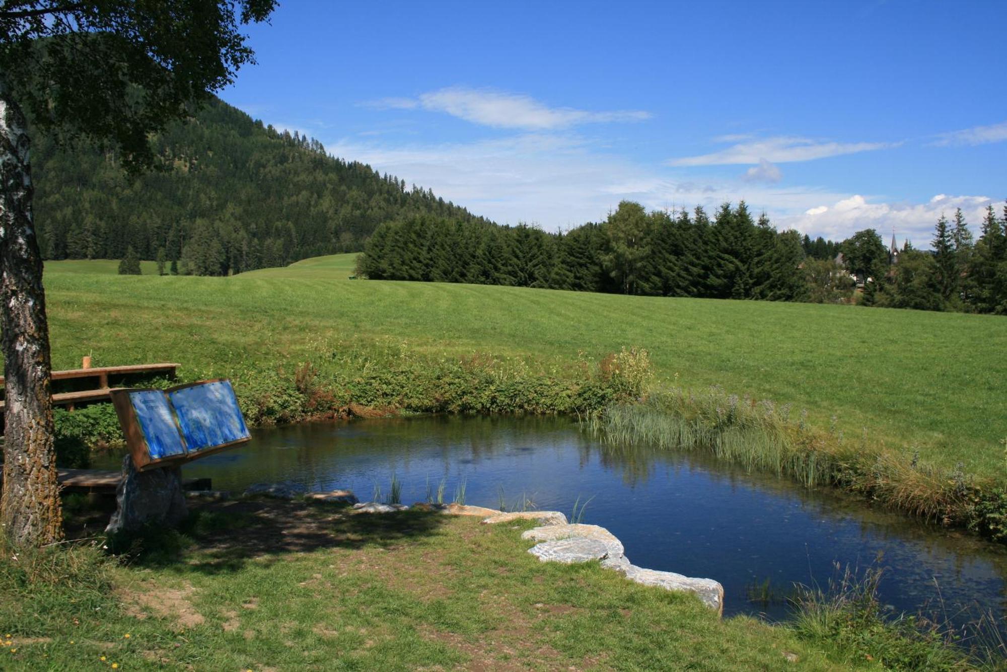Urlaub Am Bio-Bauernhof Liebchen Villa Zeutschach ภายนอก รูปภาพ